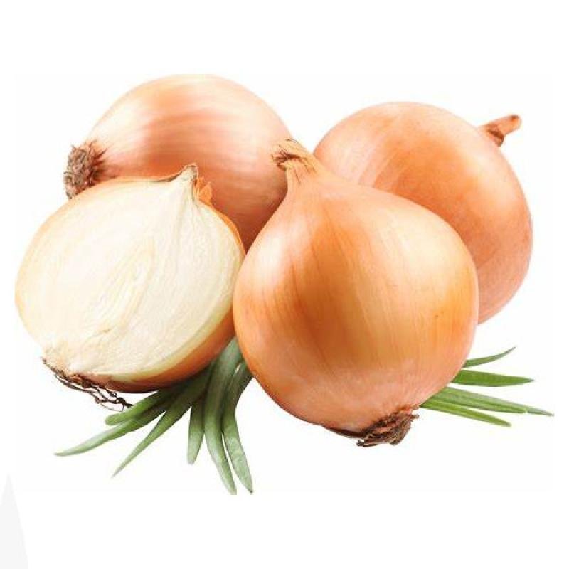 Cebola Regional